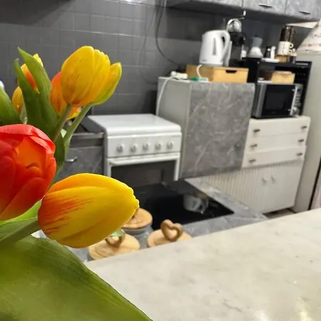 Apartamento Hidden Gem, Parking, Wifi, 7 Min From Savona *